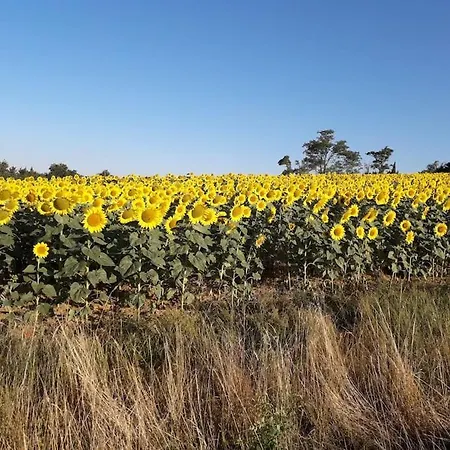 Ferienhaus Au Village Mourvilles-Hautes