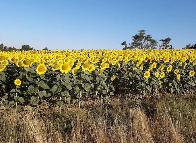 بيت للعطل Au Village Mourvilles-Hautes
